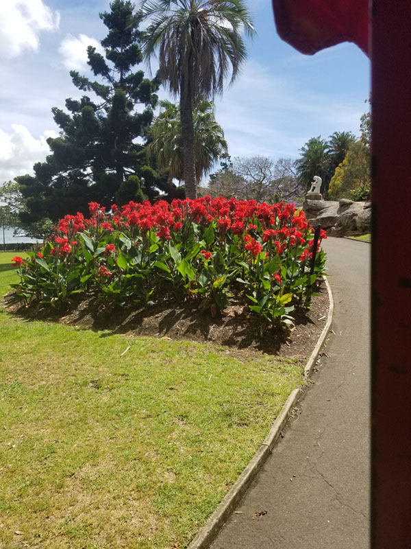 20171119_104537