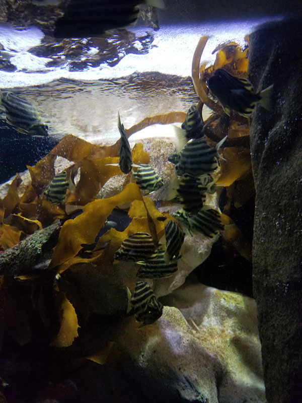 20171124_094721