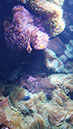 20171124_101201