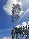 20171119_155421