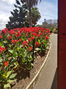 20171119_104539