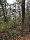 20171122_095309(0)