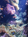 20171124_101158