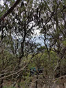 20171122_095444