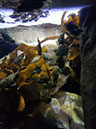 20171124_094721