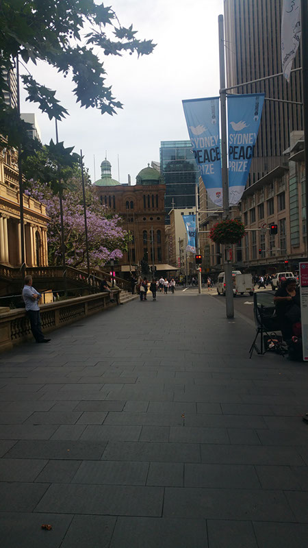 20151112_090347