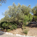 20180914_100358