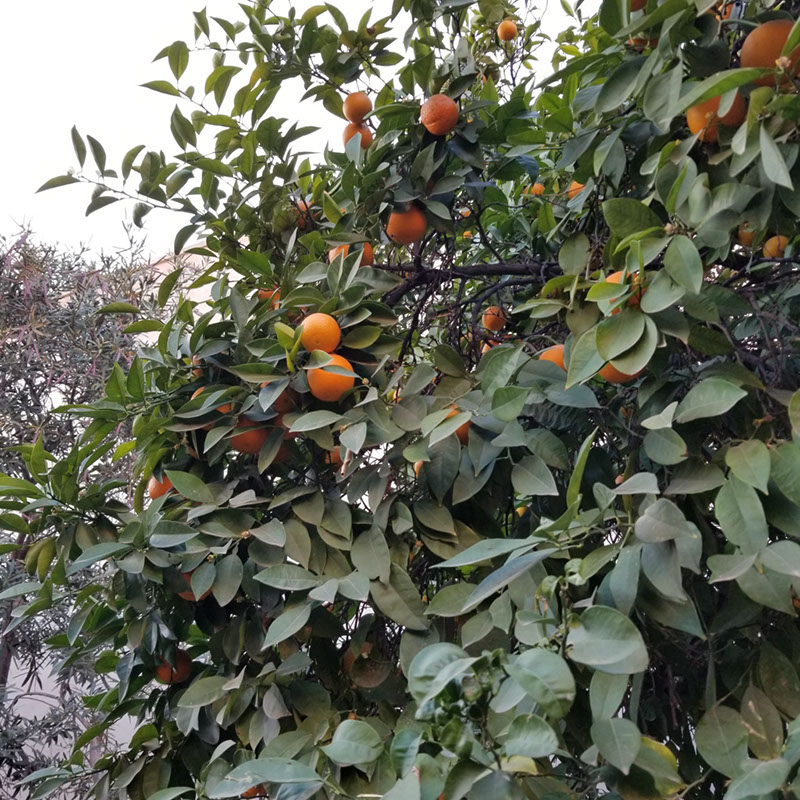20181213_092115