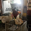 20181211_101205