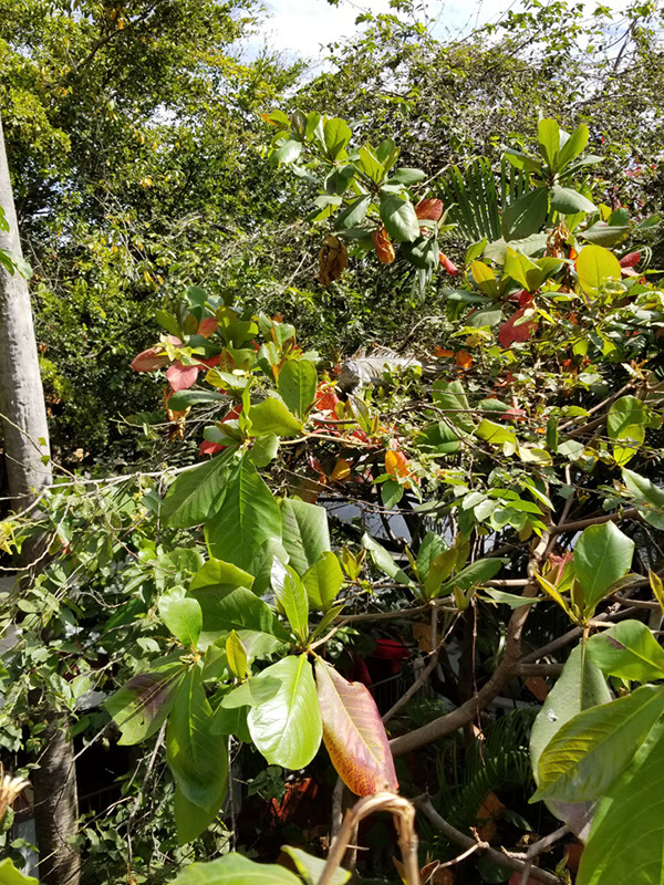 20180220_111659