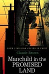 Description: Manchild in the Promised Land